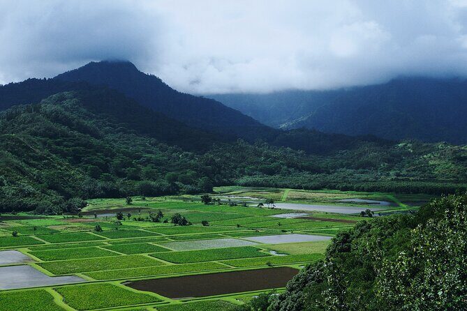 Kauai Island Private Guided Movie Tour from Poipu - Good To Know