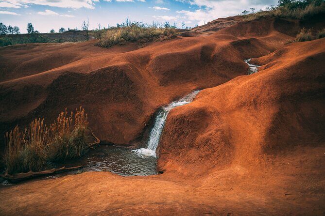 Kauai Island Private Guided Tour-Waimea Canyon from Poipu/Koloa - Good To Know