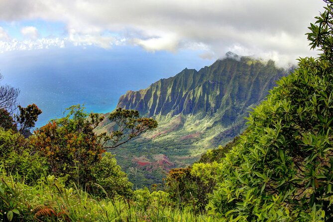 Kauai Island Private Guided Tour-Waimea Canyon from Poipu/Koloa - A Closer Look at the Itinerary