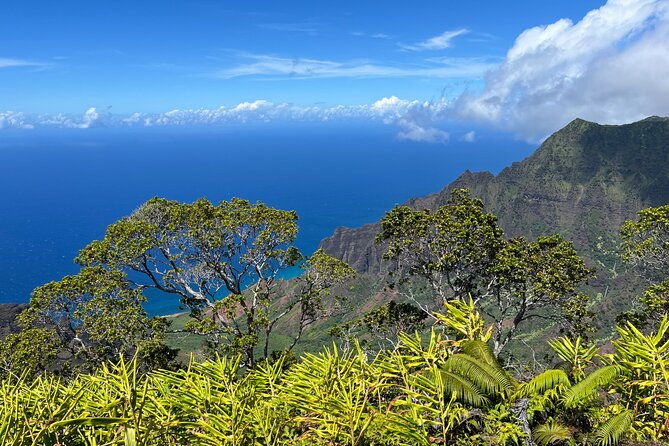 Kauai Island Private Guided Tour-Waimea Canyon from Poipu/Koloa - Who Should Consider This Tour?