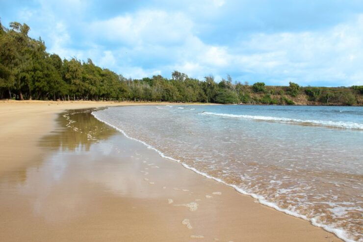 Kauai: Movie Locations Tour - Experience Highlights