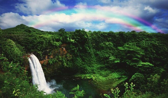 Kauai: Movie Locations Tour - Tour Inclusions