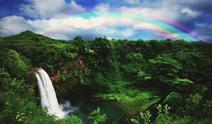 Kauai: Movie Locations Tour - Unparalleled Beauty of Kauais Film Locations