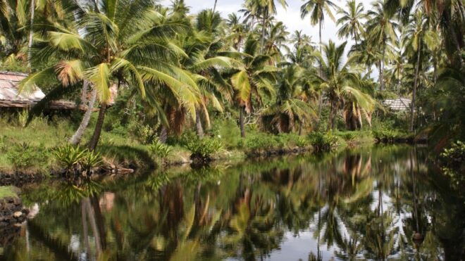 Kauai: Movie Locations Tour - Insider Insights on Shooting Process and Locations