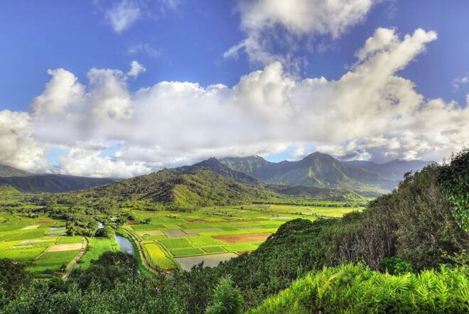 Kauai: Movie Locations Tour - Jurassic Park, Pirates of the Caribbean, and Gilligans Island Sets