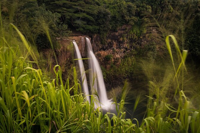 Kauai North Shore Private Guided Tour With Hotel or Port Pick-Up - The Sum Up