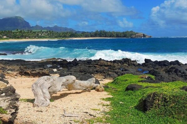Kauai Poipu and Koloa: Audio Tour Guide - Snorkeling at Poipu Beach
