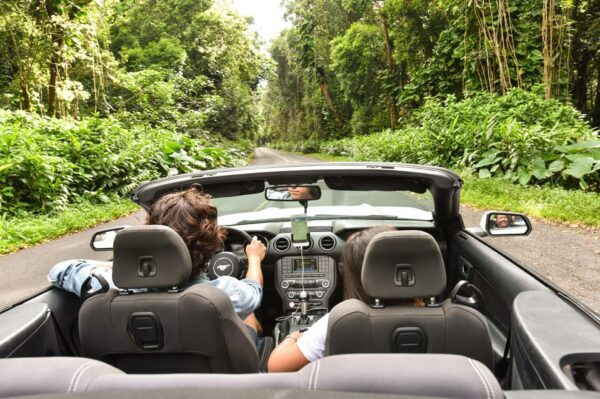 Kauai Poipu and Koloa: Audio Tour Guide - Exploring Moir Gardens