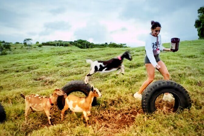 Kauai Private Baby Farm Animal Experience & Micro Dairy Immersion - What Makes This Experience Good Value?
