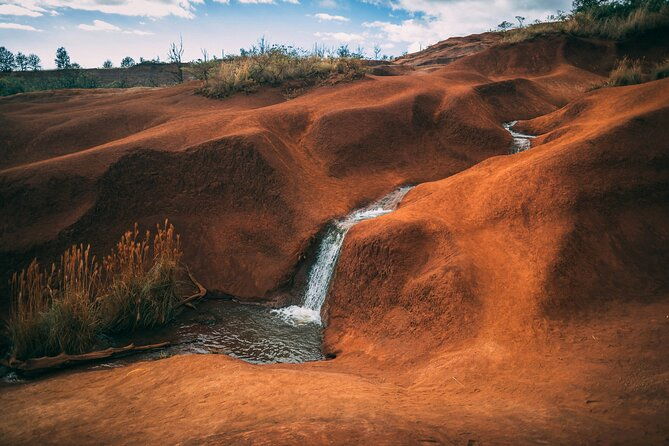 Kauai Private Guided Tour to Waimea Canyon from Nawiliwili - An In-Depth Look at the Kauai Private Guided Tour