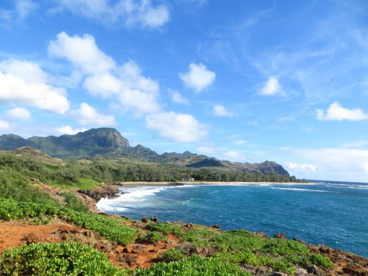 Kauai: Private Tortoises, Caves, and Cliffs South Shore Hike - Experience