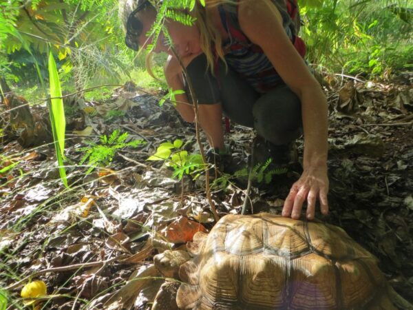 Kauai: Private Tortoises, Caves, and Cliffs South Shore Hike - Hike Highlights