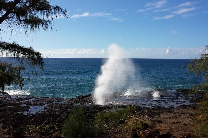 Kauai Private Tour : Waimea Canyon and Southside - Tour Pricing and Booking Details
