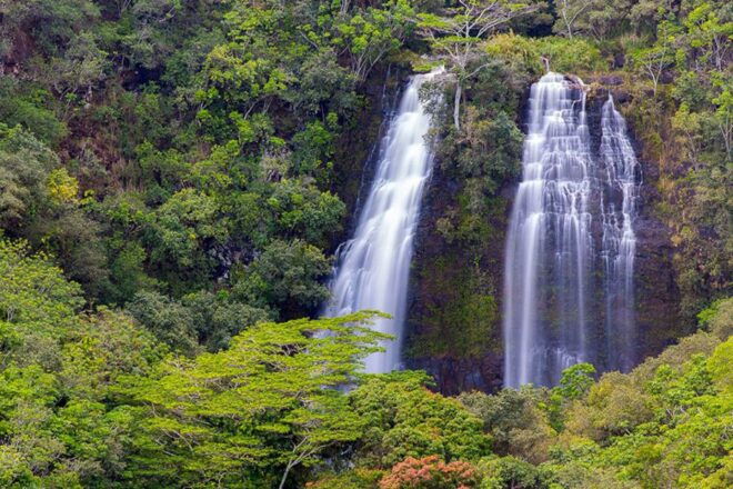 Kauai: Scenic Movie Locations Bus Tour - Highlights of the Tour