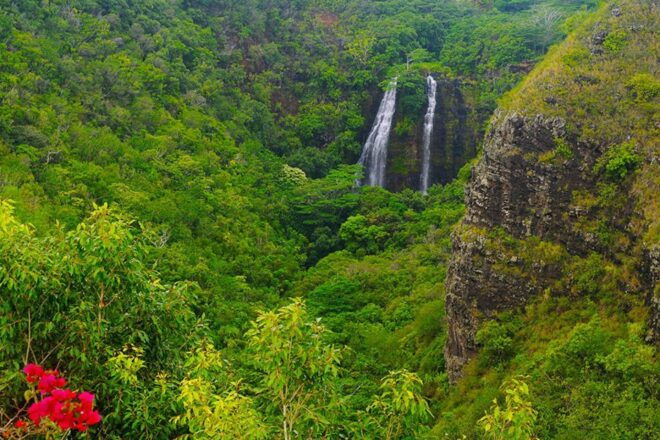 Kauai: Scenic Movie Locations Bus Tour - Common Questions