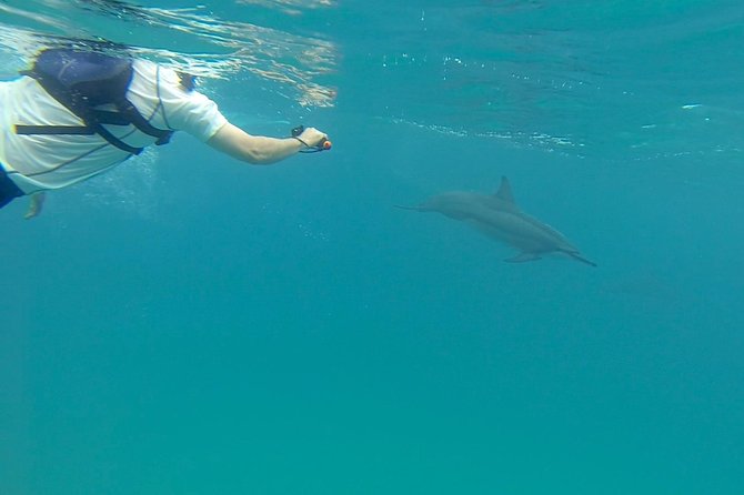 Kauai Sea Kayaking 10 Mile Tour - Na Pali Iki (Polihale to Milolii) - Snorkeling and Lunch Details