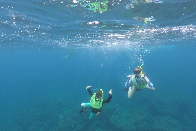 Kauai Shore Snorkeling Adventure Experience From Koloa - Experience Details