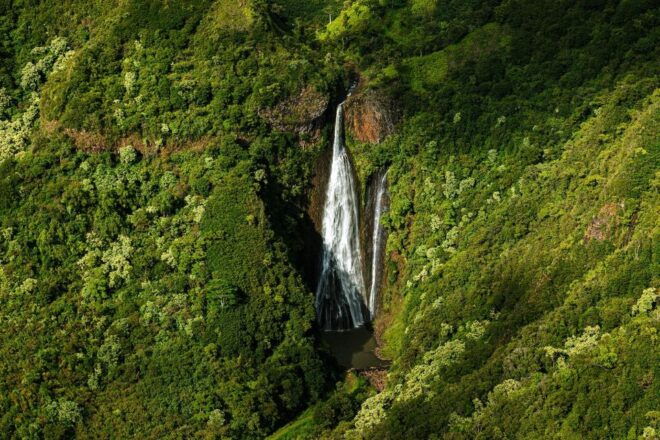 Kauai: Sightseeing Flight Over Napali Coast & Waimea Canyon - Additional Options