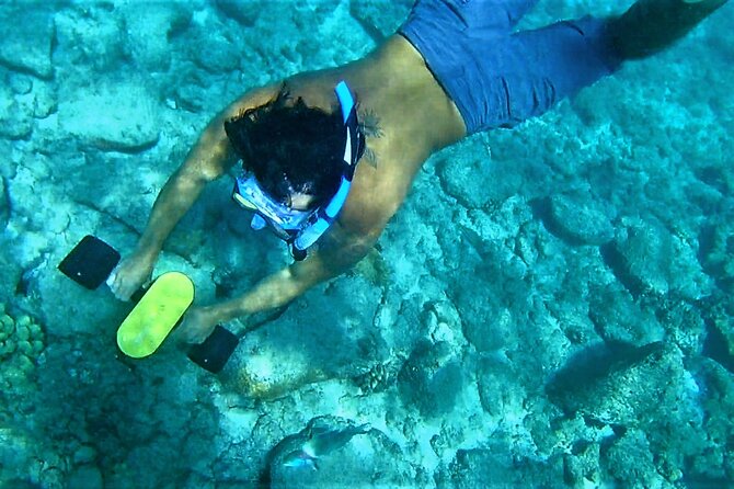 Kauai Snorkeling Adventure - What to Expect