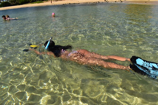 Kauai Snorkeling Adventure - Cancellation Policy