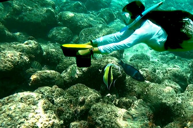Kauai Snorkeling Adventure - Common Questions