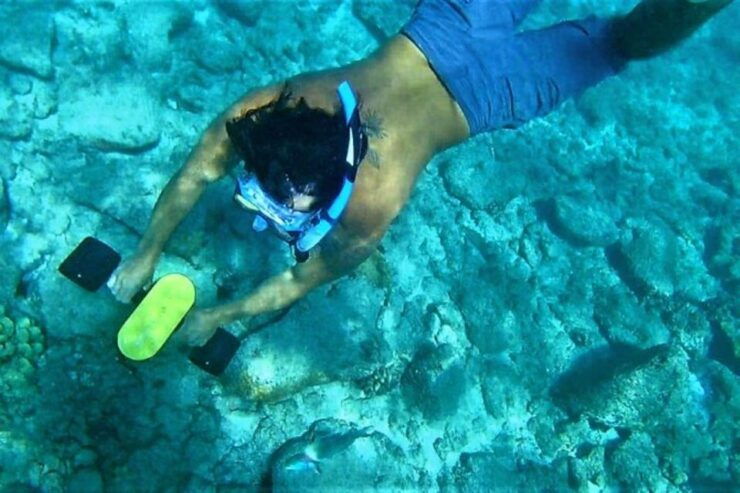 Kauai: Snorkeling Adventure With Sea Scooter - Booking Information