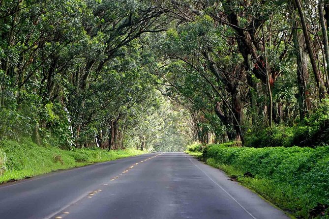 Kauai South & East. Small Group Tour. Legends & Waterfalls. 6 Hrs - Weather-Dependent Considerations