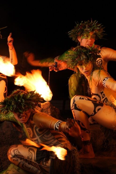 Kauai: VIP 4-Course Dinner and Luau Kalamaku Show - Good To Know