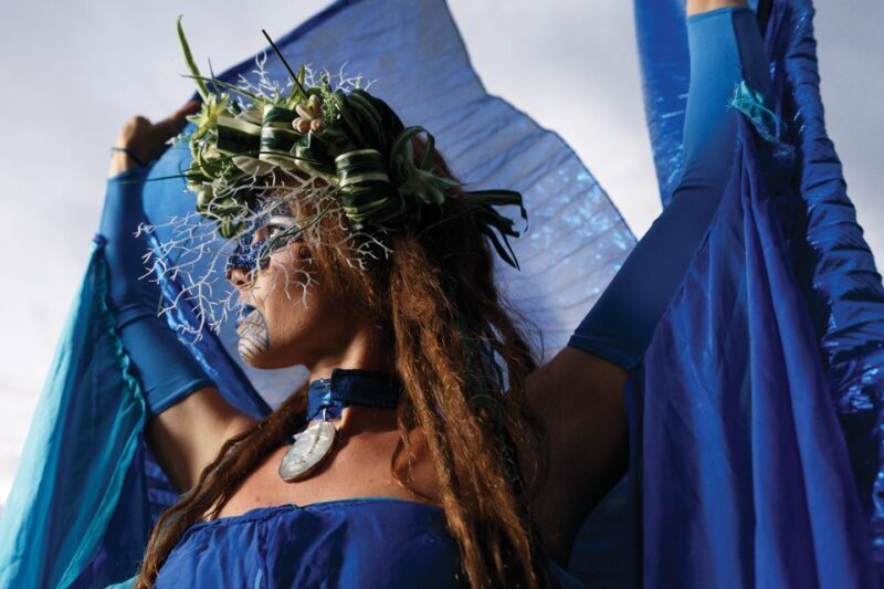 Kauai: VIP Manor House Dinner & Luau Kalamaku Show - The Sum Up: Who Is This Tour Best For?