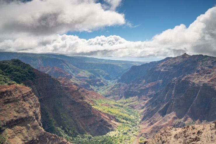 Kauai: Waimea Canyon and Koke'e State Park Tour - Highlights of the Tour