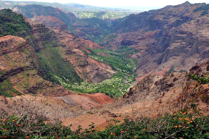 Kauai Waimea Canyon and Kokee Tour W/ Lunch - Praise for Tour Guide