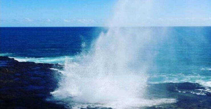 Kauai: Waimea Canyon and Waterfall Adventure Day Tour - Activity Details