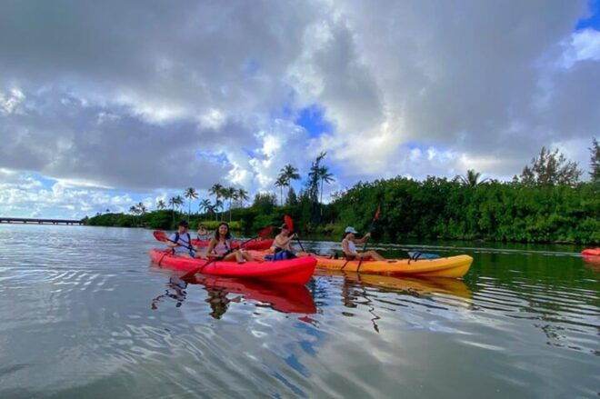 Kauai:Guided Kayak and Hike to Secret Falls - Customer Feedback