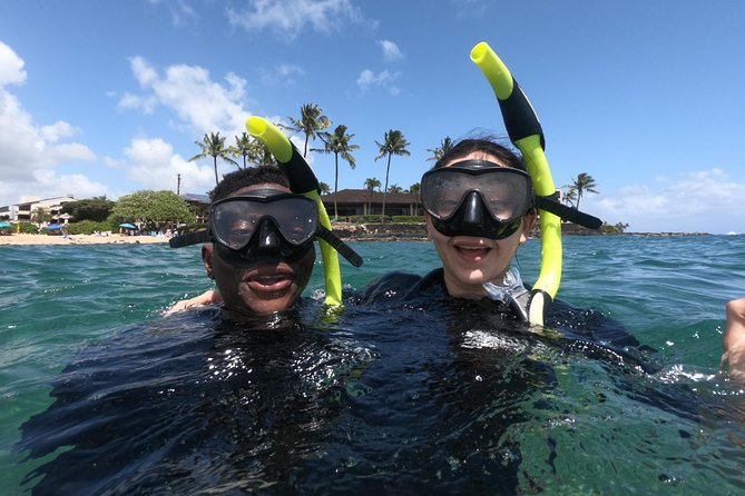 Kauais Ultimate Guided Shore (NO BOAT) Snorkeling Adventure - Tropical Fish, Sea Urchins, and Sea Mammals