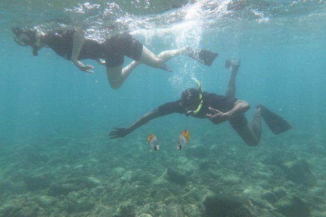 Kauais Ultimate Guided Shore (NO BOAT) Snorkeling Adventure - Common Questions