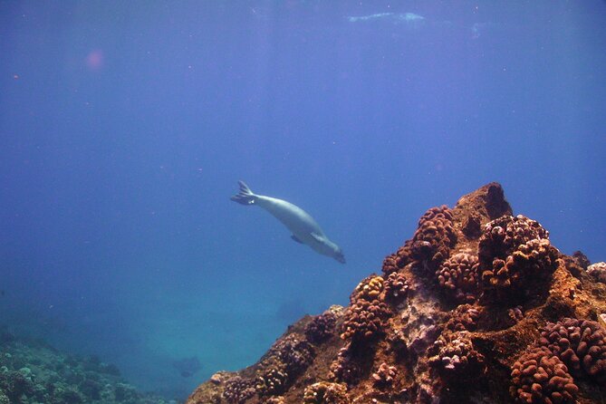 Kauais Ultimate Na Pali Coast Zodiac Boat Snorkeling & Sea Cave Eco Tour - Memorable and Up-close Coastal Experience