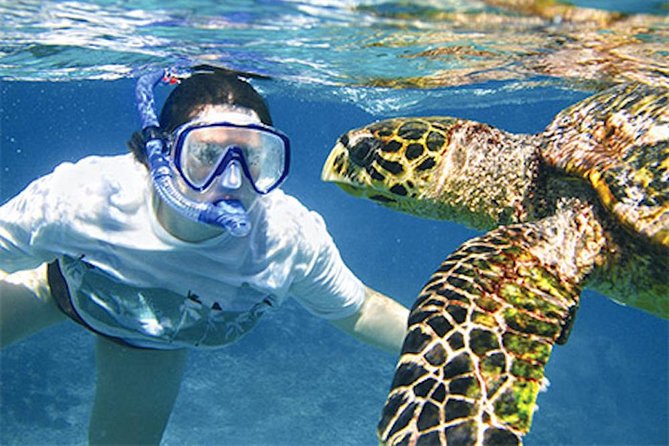 Kauais Ultimate South Island Zodiac Boat Snorkel Adventure - Reviews