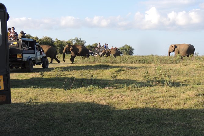 Kaudulla National Park Entrance Ticket - Location and Directions