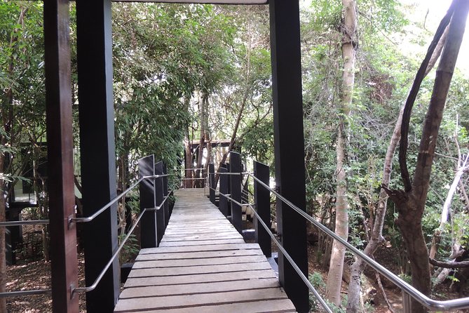 Kaudulla National Park Entrance Ticket - The Sum Up
