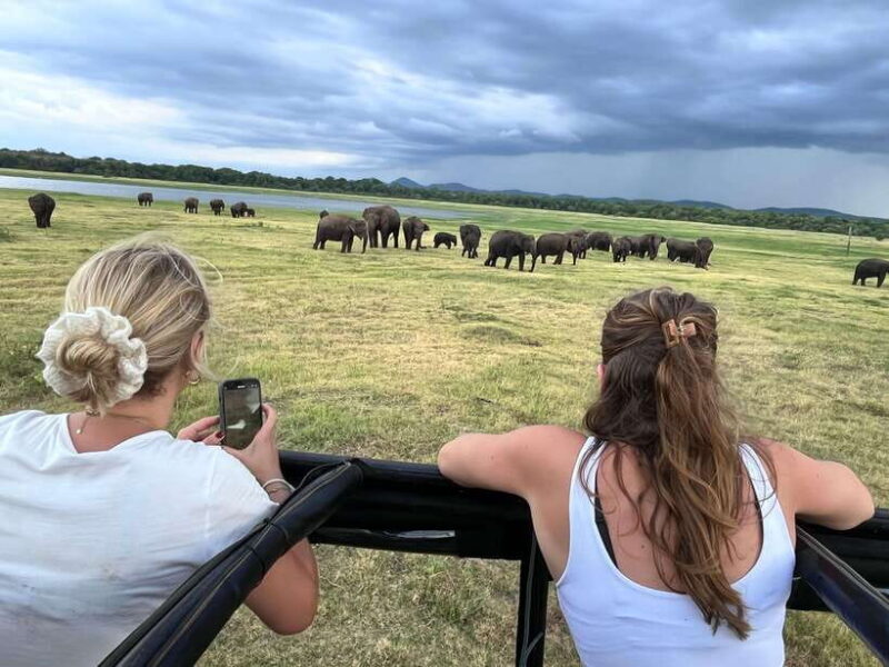 Kaudulla National Park: Private Safari - Wildlife Encounters and Sightings