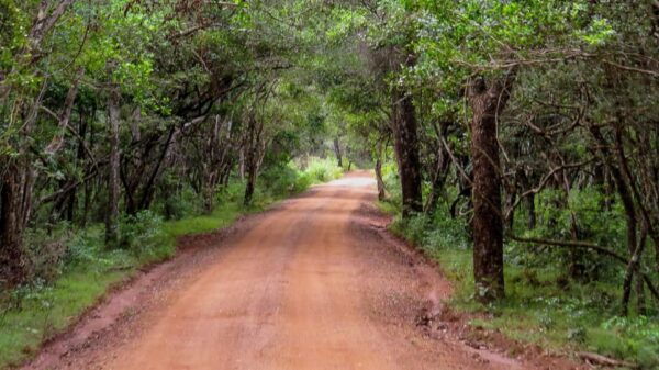 Kaudulla National Park Safari From Dambulla - Nearby Attractions