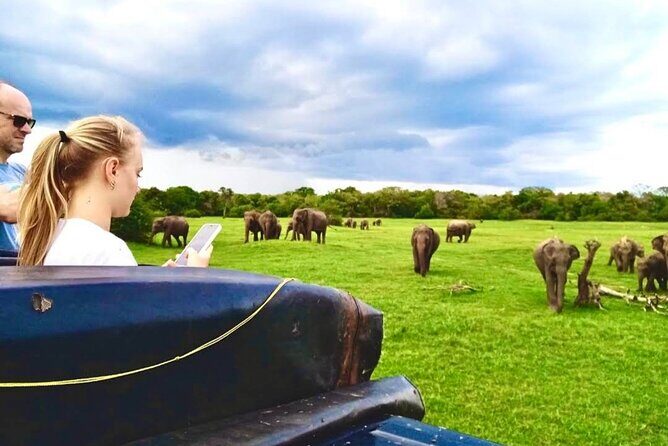 Kaudulla Safari Adventure - Exploring the Kaudulla Safari Adventure: An Authentic Wildlife Encounter in Sri Lanka