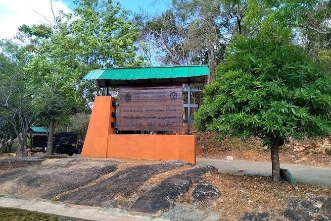 Kaudulla Safari Adventure - Detailed Breakdown of the Kaudulla Safari Experience