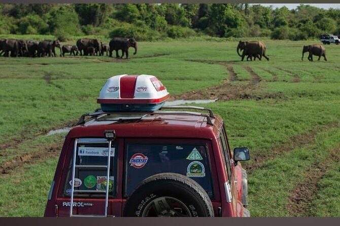 Kaudulla Safari Adventure - Who Would Love This Experience?