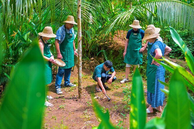 Kaura: Cooking Class & Choose Optional Tour with Private Transfer - Overview of the Experience