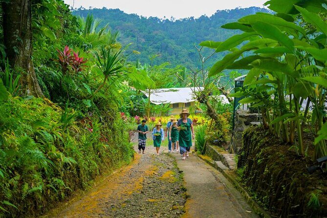 Kaura: Cooking Class & Choose Optional Tour with Private Transfer - Final Thoughts