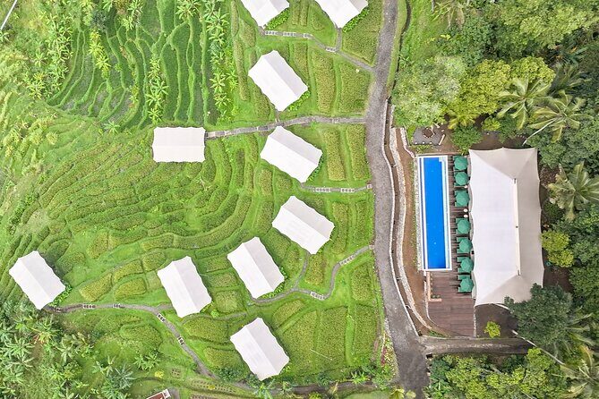 Kaura: Cooking Class & Choose Optional Tour with Private Transfer - Practical Details: What You Need to Know