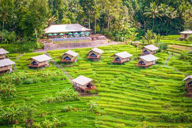 Kaura Pool and Dine Choose Optional Tour with Private Transfer - Exploring the Itinerary: What’s on the Agenda