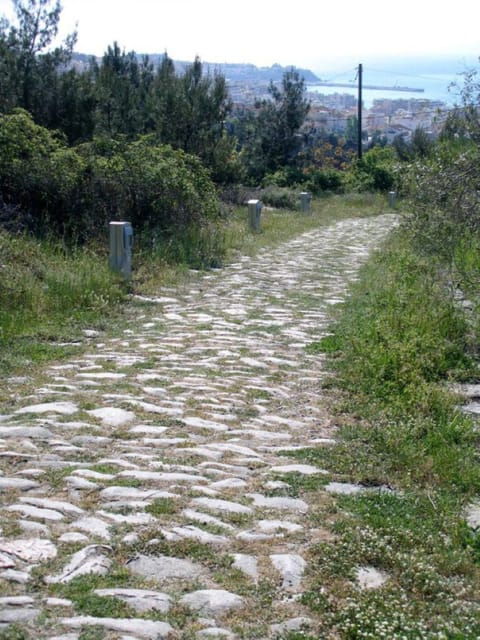 Kavala: The Sacred Path of Apostle Paul Private Tour - Analyzing the Value