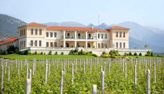 Kavala: VinoTour - Booking and Cancellation Policy